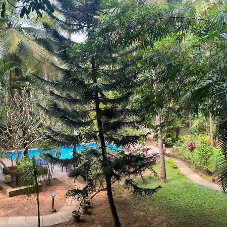 Tranquil Stay, Garden Estate - Palolem 1Bhk Flat Canacona Exterior photo