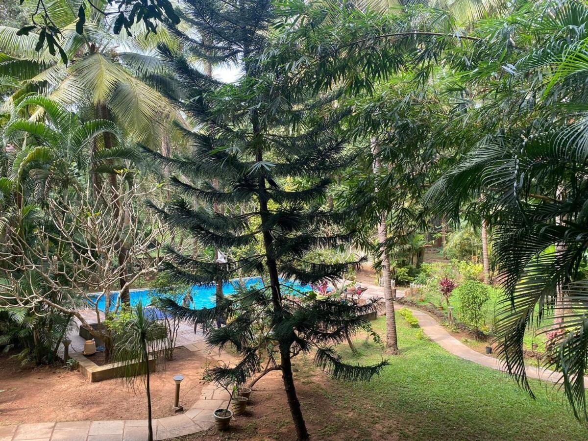 Tranquil Stay, Garden Estate - Palolem 1Bhk Flat Canacona Exterior photo